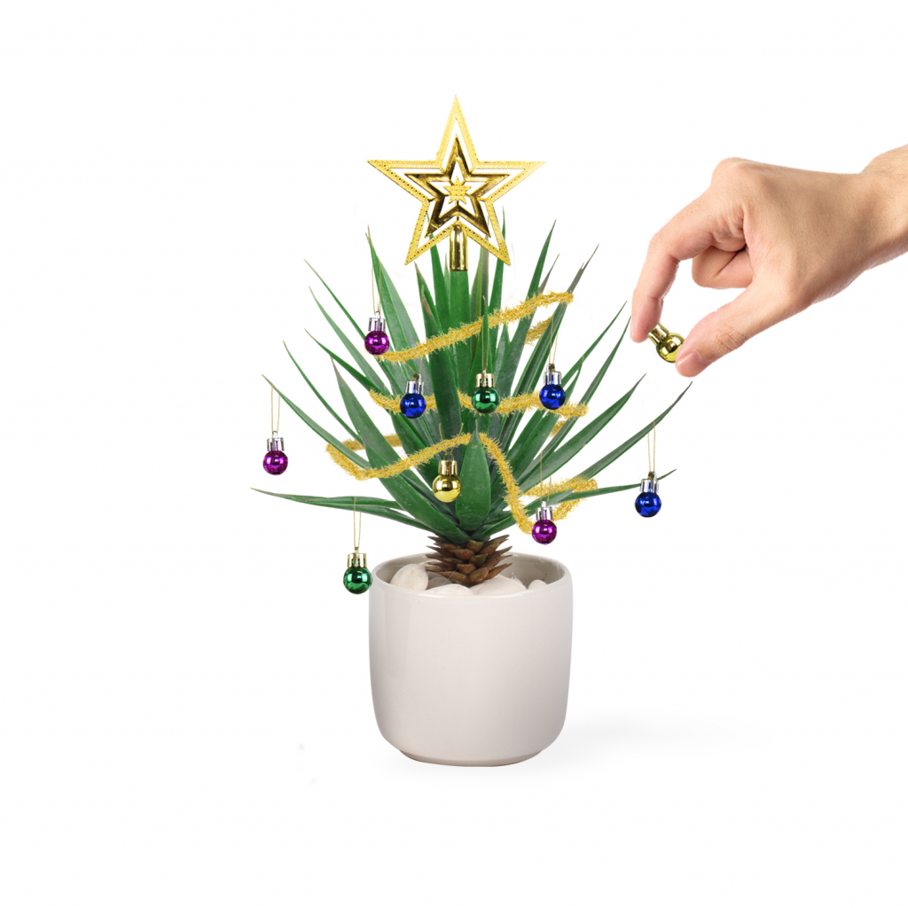 Kerstballen - Voor je planten - Set van 10 ballen - Inclusief 1 slinger en 1 ster - Kerstversiering - Decoratie
