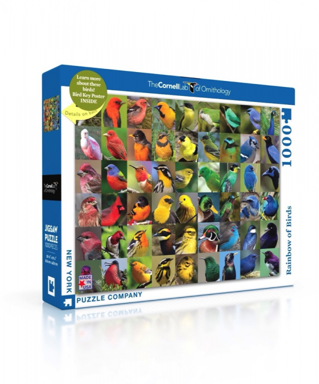 New York Puzzle Company Rainbow of Birds - 1000 pieces