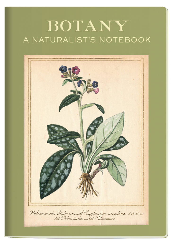 UPG Notitieboek - Plantkunde